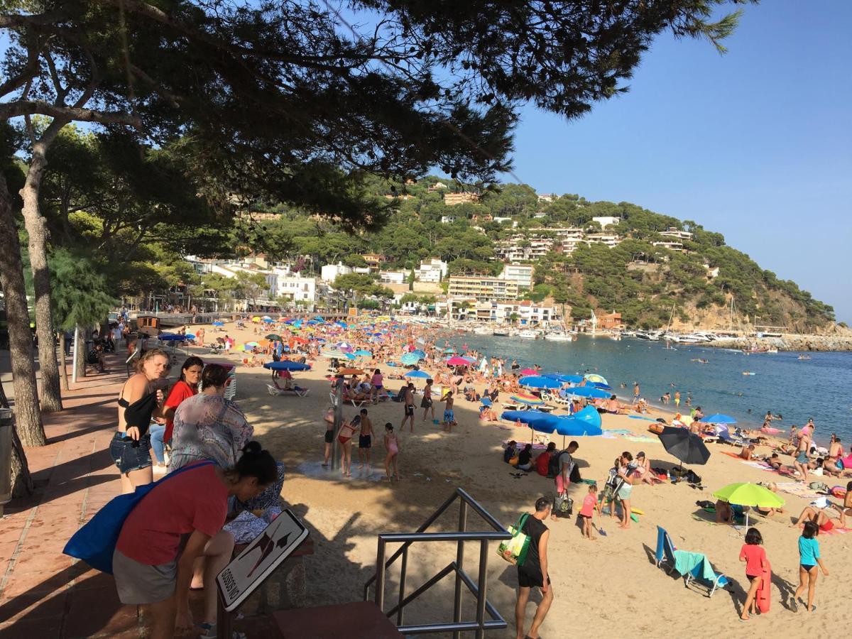 Greenchalets Costa Brava Palamós Eksteriør billede